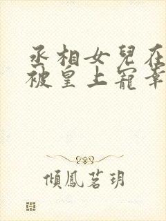 丞相女儿在书房被皇上宠幸的小说贺封面