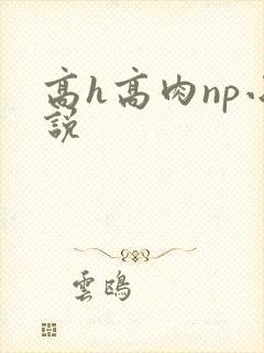 高h高肉np小说