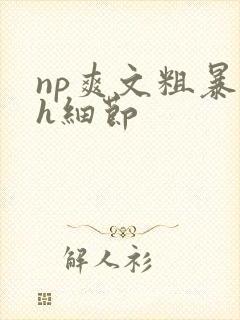 np爽文粗暴高h细节