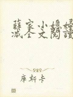薛家小媳妇无删减全文阅读笔趣阁封面
