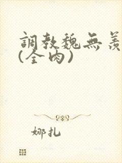 调教魏无羡淫宴(全肉)封面