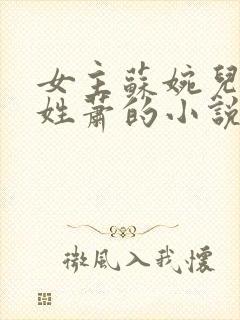 女主苏婉儿男主姓萧的小说