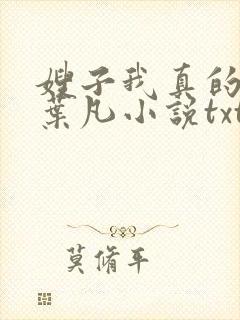 嫂子我真的不傻叶凡小说txt