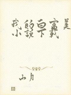 我的白富美老婆小说下载