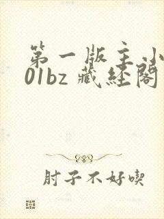 第一版主小说网01bz 藏经阁