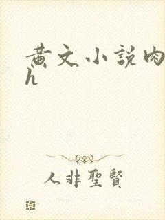 黄文小说肉辣文h