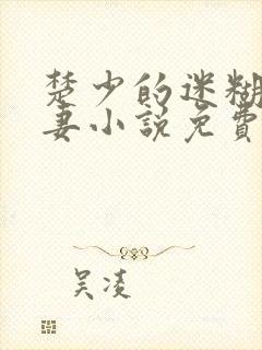 楚少的迷糊小娇妻小说免费