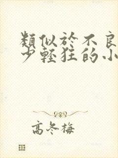 类似于不良之年少轻狂的小说封面