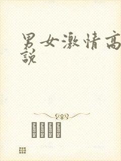 男女激情高h小说封面