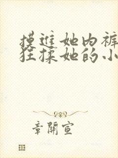 摸进她内裤里疯狂揉她的小说