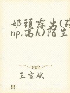 奶头露出(强jnp,高h)陌生人小说小说