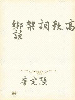 绑架调教高h小说