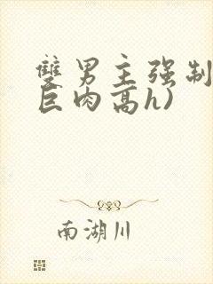 双男主强制爱(巨肉高h)封面