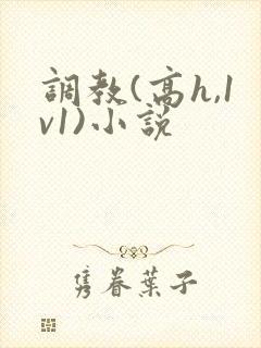 调教(高h,1v1)小说