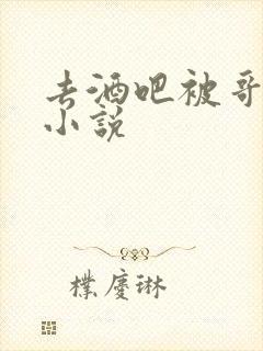 去酒吧被哥哥打小说