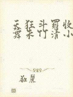 天狂斗罗收服小舞朱竹清小说