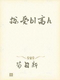 总受bl高h