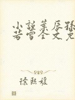 小说叶辰孙怡夏若雪全文免费阅读