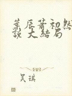 叶辰萧初然 小说 大结局