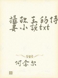 摄政王的侍爱逃妻小说txt