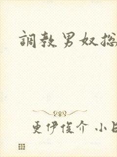 调教男奴总裁受