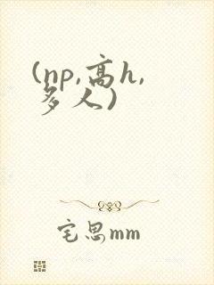 (np,高h,多人)