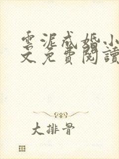 云泥成婚小说全文免费阅读