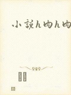 小说h肉h肉封面