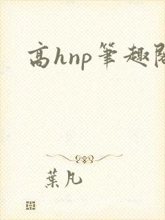 高hnp笔趣阁