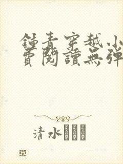 钟青穿越小说免费阅读无弹窗封面