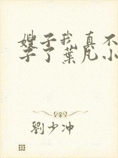 嫂子我真不是傻子了叶凡小说精校