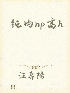 纯肉np高h