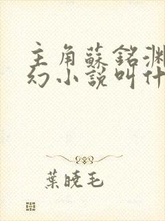 主角苏铭渊的玄幻小说叫什么