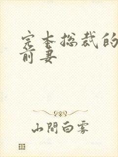 完本总裁的替身前妻