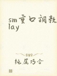 sm重口调教play