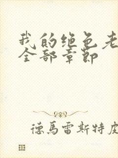 我的绝色老板娘全部章节