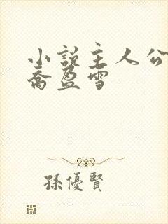 小说主人公沈荡乔盈雪