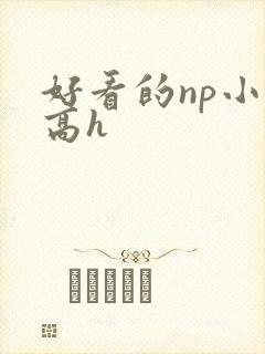 好看的np小说高h封面