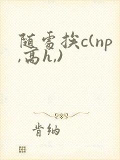 随处挨c(np,高h,)