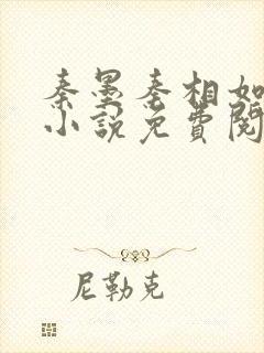 秦墨秦相如穿越小说免费阅读