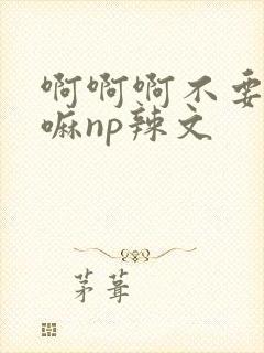 啊啊啊不要不要嘛np辣文