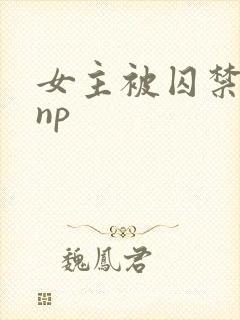 女主被囚禁高虐np