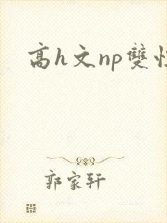 高h文np双性