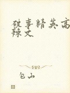 破事精英高h肉辣文