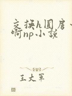 交换h圆房～嗯啊np小说