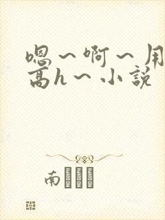 嗯～啊～用力～高h～小说封面
