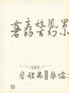 女主姓凤男主姓君的玄幻小说