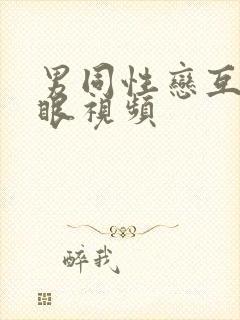 男同性恋互操屁眼视频