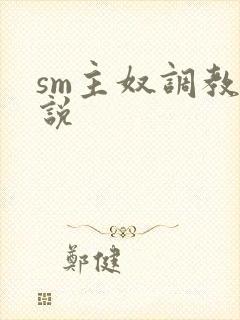 sm主奴调教小说