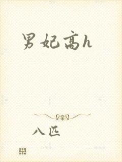 男妃高h